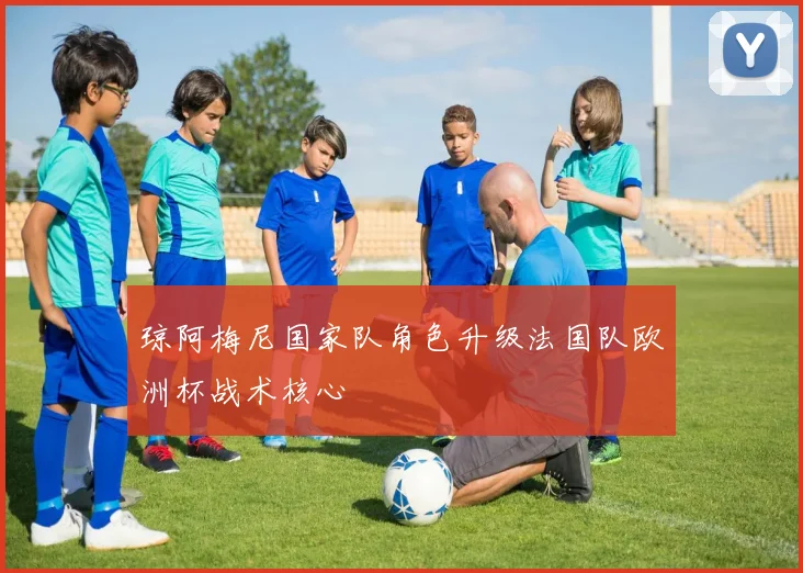 琼阿梅尼国家队角色升级法国队欧洲杯战术核心