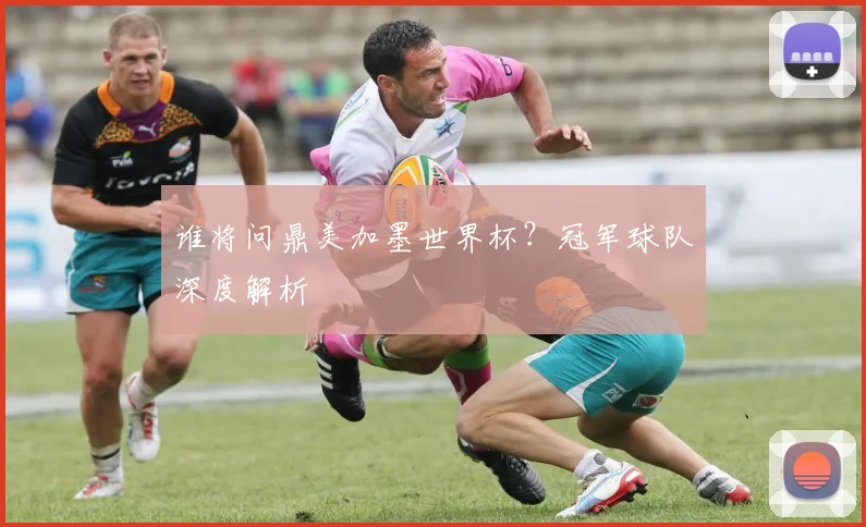 谁将问鼎美加墨世界杯？冠军球队深度解析