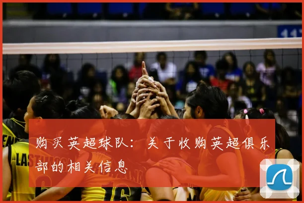 购买英超球队:关于收购英超俱乐部的相关信息