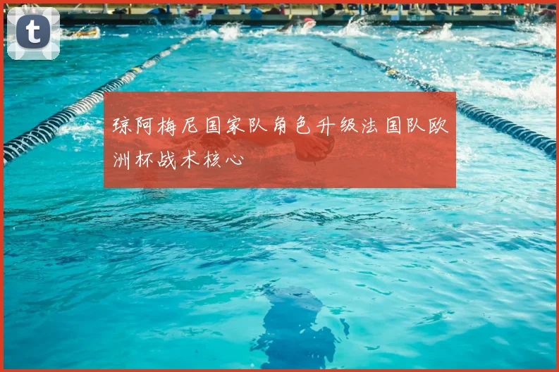 琼阿梅尼国家队角色升级法国队欧洲杯战术核心